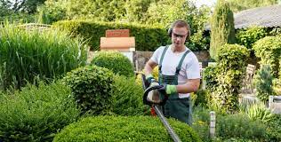 Commercial Grounds Maintenance: Elevating Outdoor Aesthetics post thumbnail image