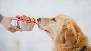 Giving Raw: Unveiling the key benefits of Raw Dog Food post thumbnail image